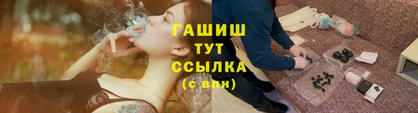 шишки Горняк