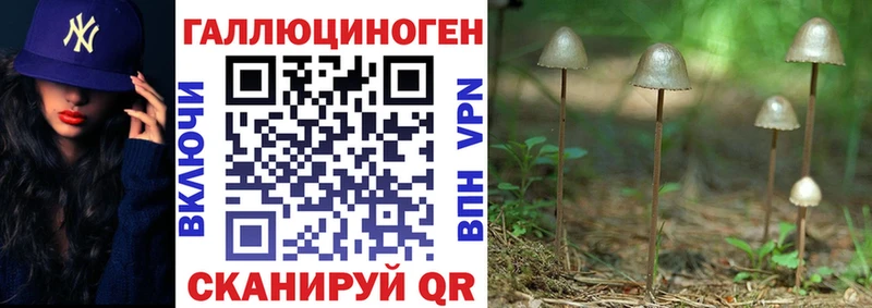Псилоцибиновые грибы прущие грибы  Купить  Княгинино 